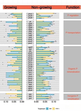 APF 并联型 有源电力滤波器 dq 谐波抑制 matlab simulink 仿真