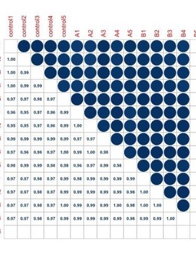 matlab代码帮做python代编神经网络深度学习算法电气通信仿真复现