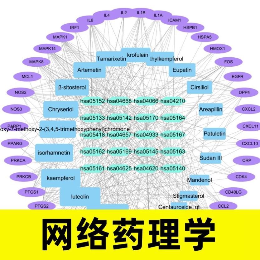 中医药网络药理学代做 网药 TCMSP GO KEGG cytoscape 分子对接