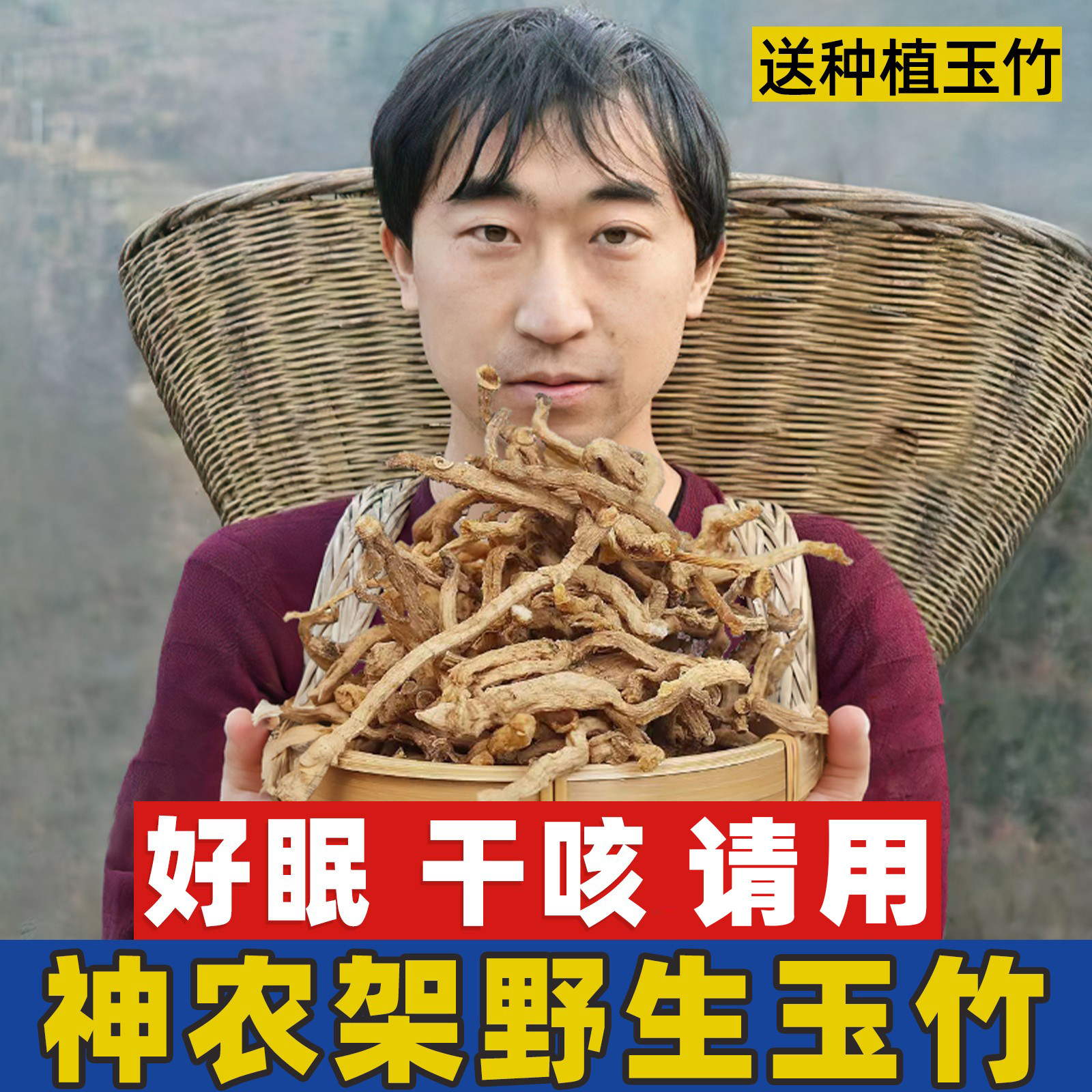 神农架野生玉竹500g无硫中药材可搭麦冬沙参泡茶非玉竹切片100g