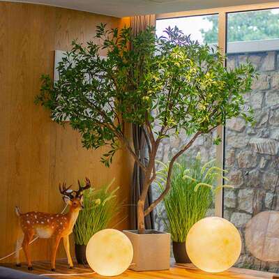马醉木仿真绿植造景假植物装饰室内大型落地景观仿真树橱窗装饰树