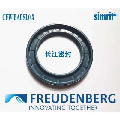 A CFW 1 BAB6SL0.8 160-200-10 FREUDENBERG SIMMERRING AS油封