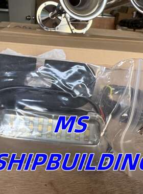 E019002-WB 24V IP68白色蓝色双色不锈钢防水游艇船用LED水下灯船