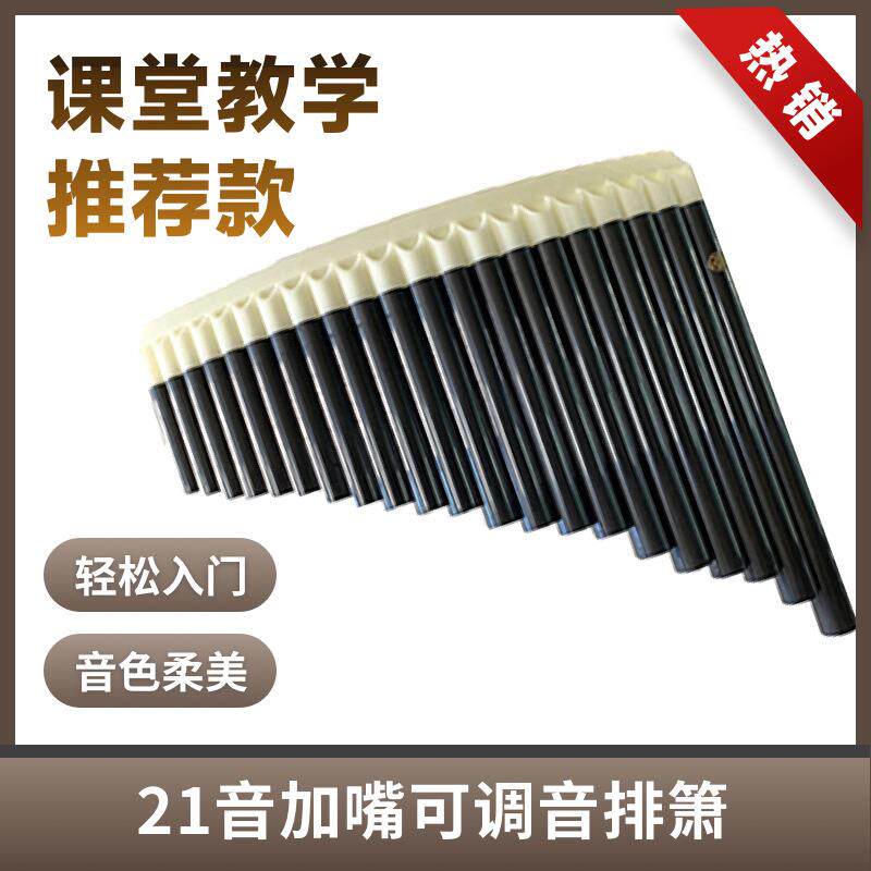 21音排箫 二十一音加嘴 可调节 弧形设计初学 进阶演奏级塑料无