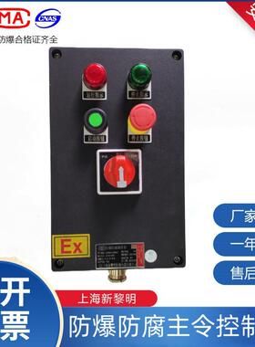 ZXF8030防爆防腐主令控制器 壁挂式2纽1表1开关ZXF8030-A2B1K1G
