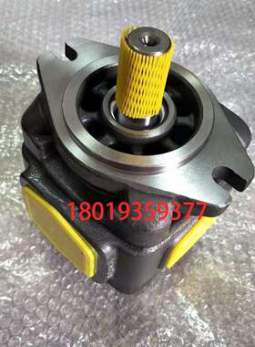 HG0-10-01R-VPC内啮合齿轮泵 SUNNY高压油泵