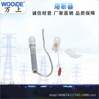 BR1BR2 BRW BRN-10/2A-25A高压熔断器熔断丝160-200A保险丝保险片