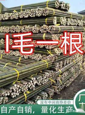 竹竿子搭架竹架子竹子杆菜园竹竿豆角黄瓜西红柿瓜果蔬菜爬藤架杆
