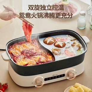 DHG 官方正品 Bear 小熊 6升多功能料理 D65B1鸳鸯火锅电火锅分体式