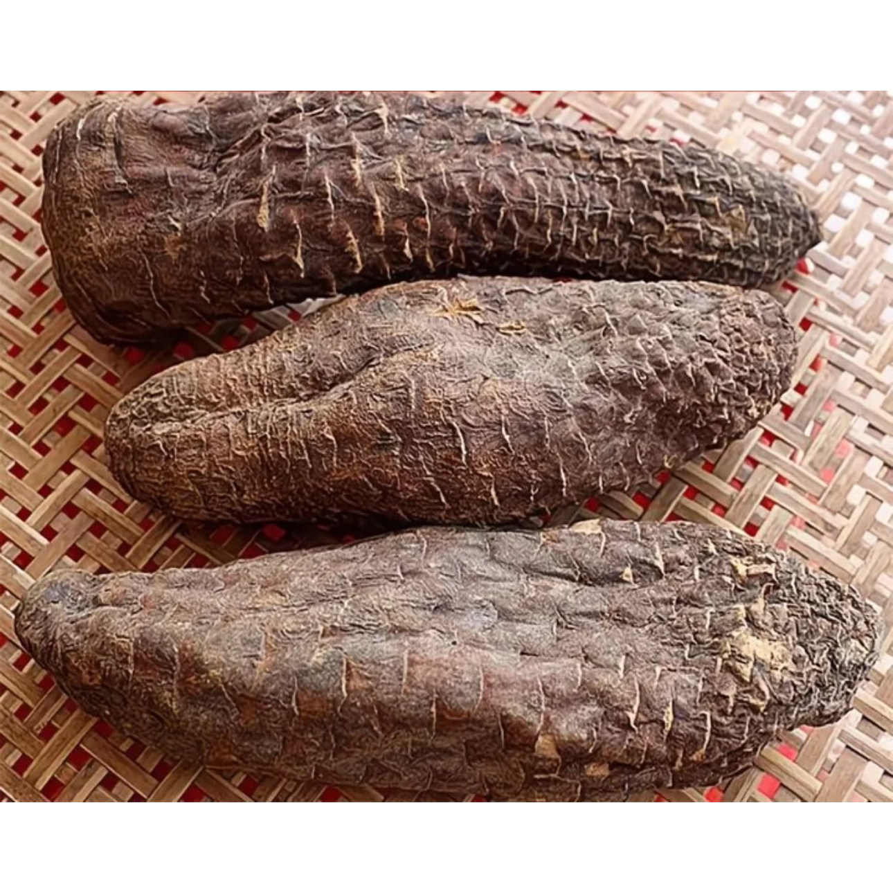 新疆塔克拉玛干管花肉苁蓉干片 整根包邮