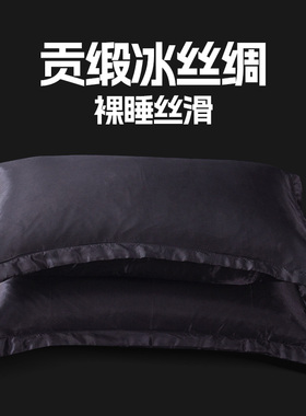 夏季外贸款黑色水洗真丝绸冰丝男生耐脏枕套一对单双人枕头套一只