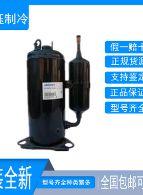 BSD122DT-P6AU/P6AG BSD122DV-H3BD1海立全新除湿机R134a压缩机