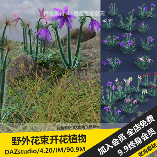 DAZ3D 野外花束开花植物花丛高山草原奇异野花盆栽 3d模型素材