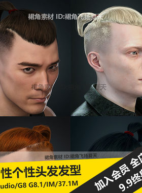 DAZ3D Studio 男性个性潮流精简小辫子造型头发发型 3d模型素材