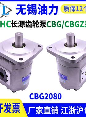 新款齿轮油泵CBG/CBGZ2040/2050/2063/2080/2100-BFP包邮