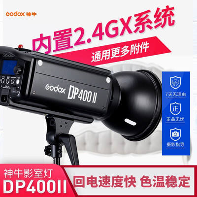 神牛（Godox）摄影灯dp600wii/sk400ii二代影棚闪光灯人像静物摄