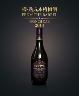 【礼盒装】CHOYA俏雅樽本格梅酒5年橡木桶熟成日本进口发酵青梅酒