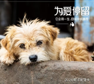 爱之家2026年定制1月感恩卡片。