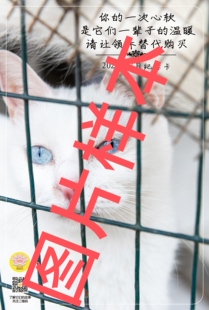 爱之家2026年定制3月感恩卡片。