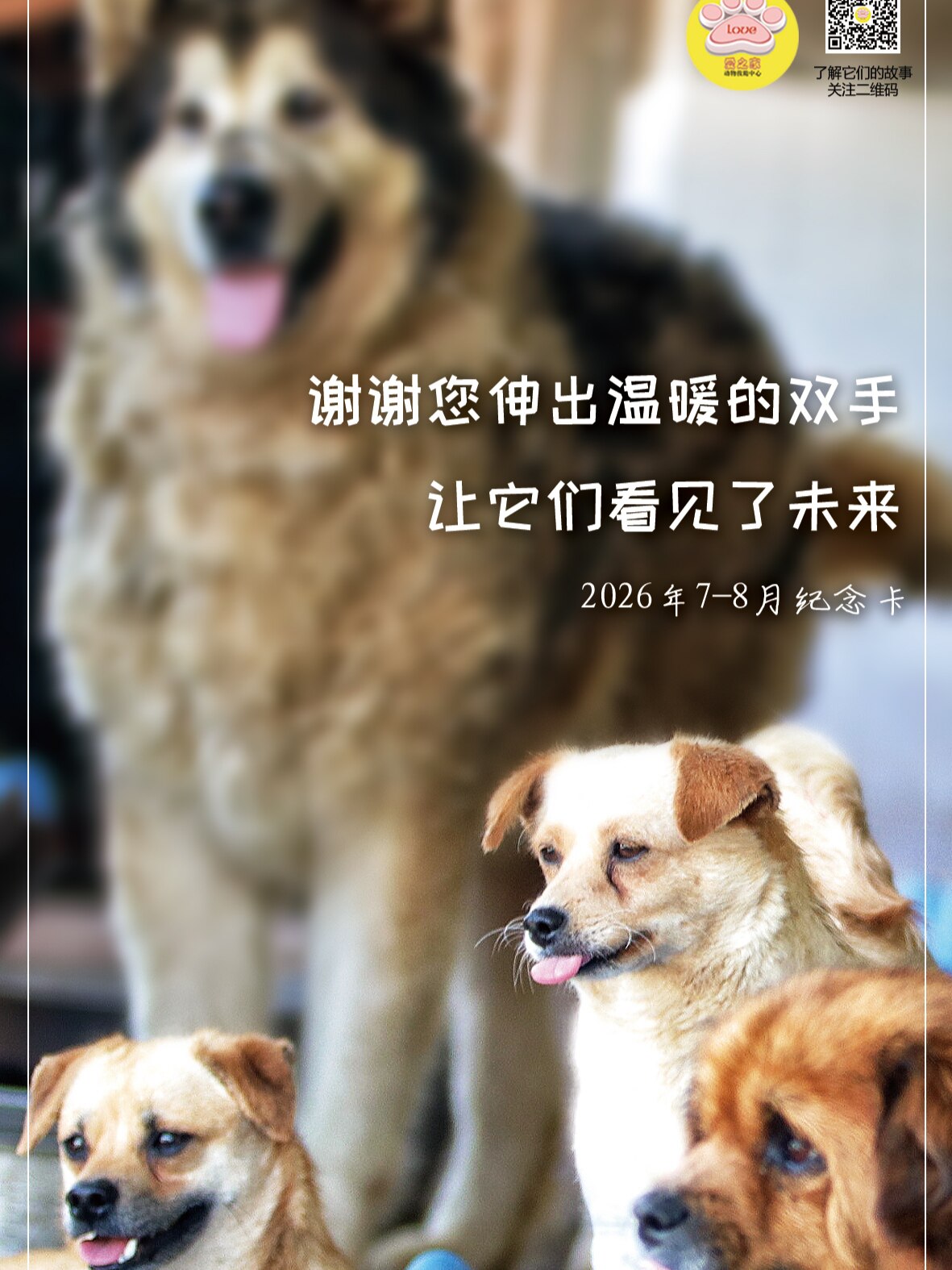爱之家2026年定制7/8月感贺卡/明信片
