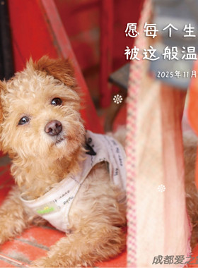 爱之家2025年定制11月感恩卡片。