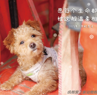 爱之家2025年定制11月感恩卡片。