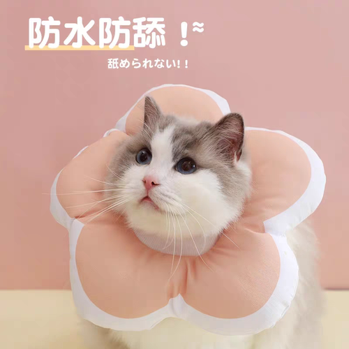 宠物伊丽莎白圈术后防舔猫狗多尺寸可调脖套中小型犬猫（颜色随机