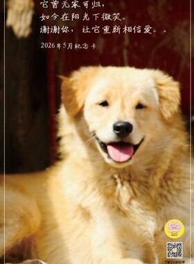 爱之家2026年定制5月感恩卡片。