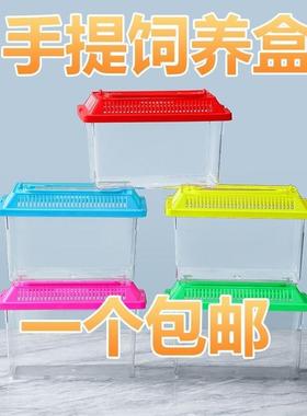 Large and Medium Children's Portable Transparent Pet Transpo