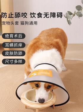 Elizabethan collar for dogs and cats, also known as a protec