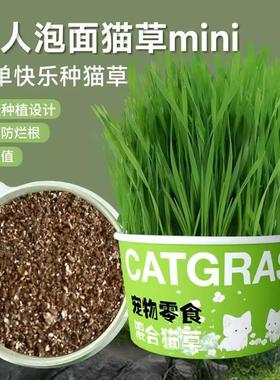 Lazy person's instant noodle cat grass hydroponic cup, hairb