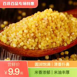 精选坝上粗粮/黄金小米/米油/米脂醇厚
