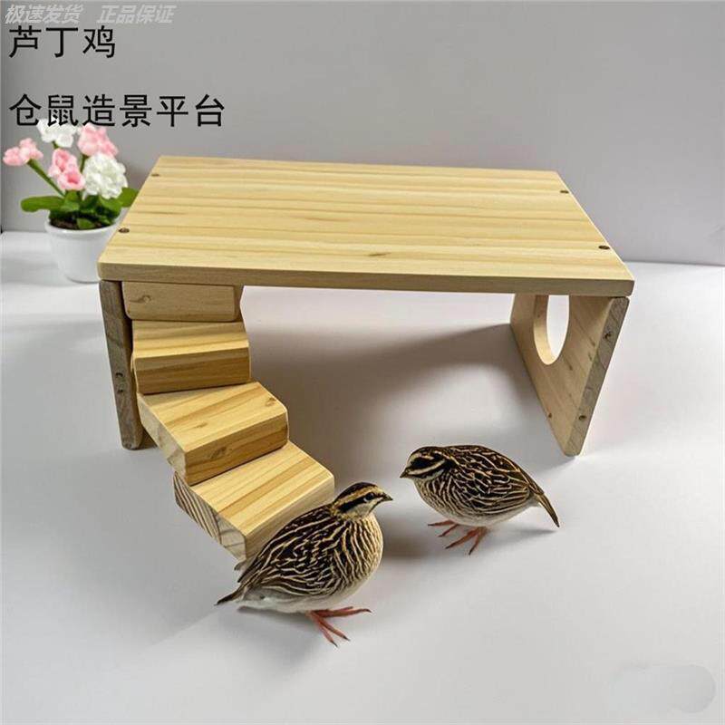 芦丁鸡小屋造景喂食平台装饰仓鼠