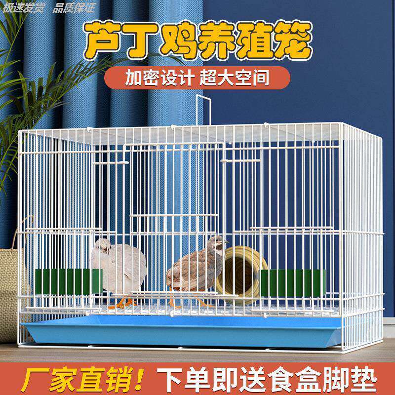 鸟笼大号金属玄凤虎皮鹦鹉鸟笼