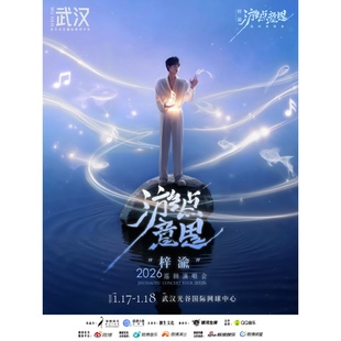 游点意思 梓渝 2026巡回演唱会 武汉站