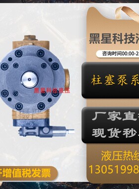 全新启东高压10/16/25/32/40/63/80/100/160PCY14-1B轴向柱塞现货