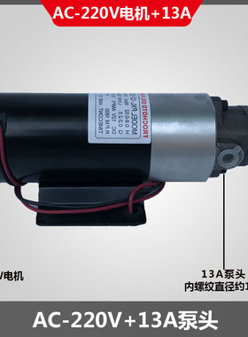 新款PXL-12-1DC马达泵WSP730电机直流24V马达泵直流PXL-12油包邮