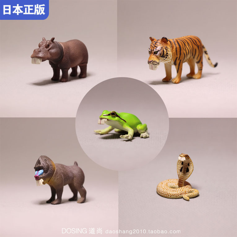 日本正版暴牙仿真动物老虎河马雨蛙狒狒眼镜蛇手办模型-封面