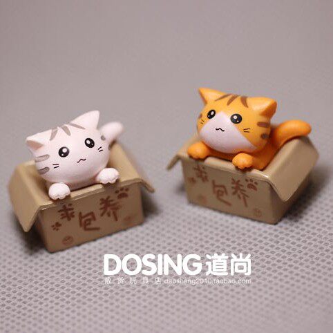 两个一起  包养猫