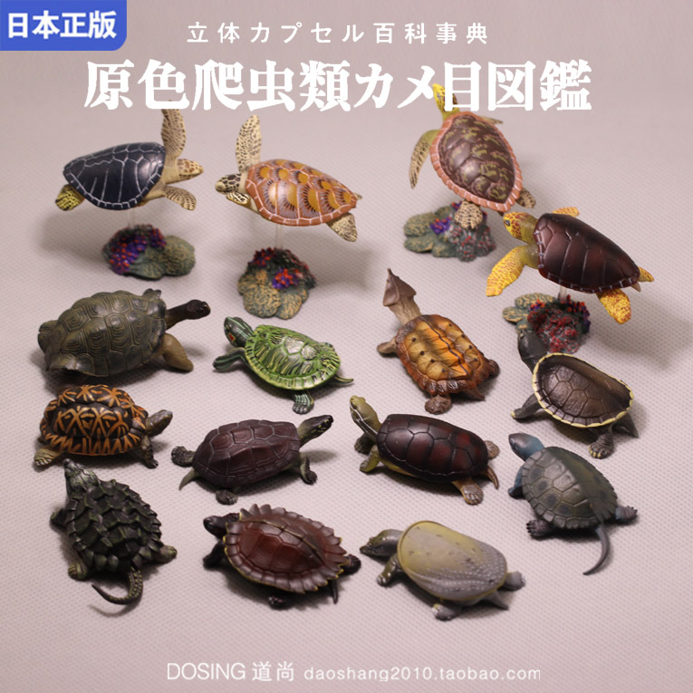 日本正版小乌龟手办模型
