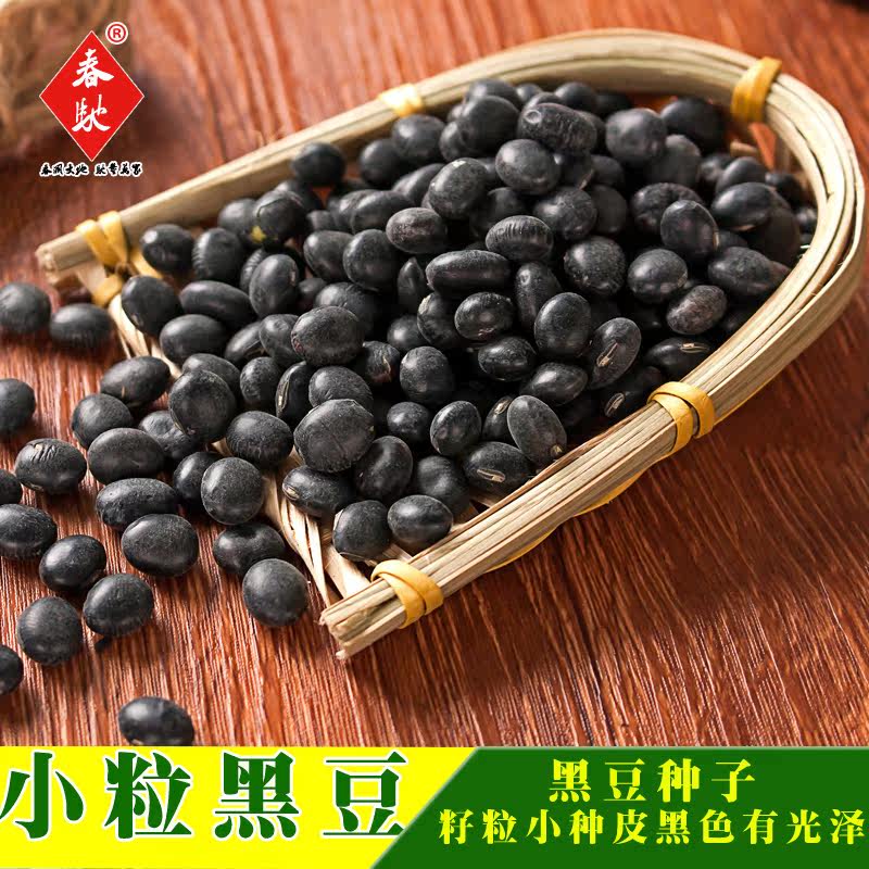 Spring seed black soya bean seed Precocious type Whole grains seed Four seasons Vegetables seed 30gin the Agricultural goods , Seed/Seedlings , Vegetable Seeds  category - from Buy2taobao.com to provide professional Taobao agent buy service
