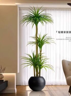 仿真绿植多头龙血树客厅室内大型轻奢仿生植物盆栽沙发落地摆件