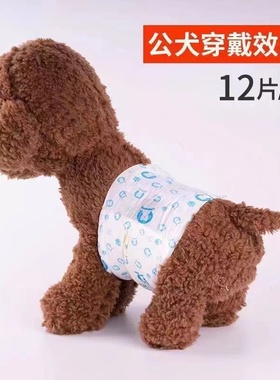 狗狗纸尿裤公狗专用泰迪犬尿不湿男狗礼貌带母狗生理裤尿布防乱尿