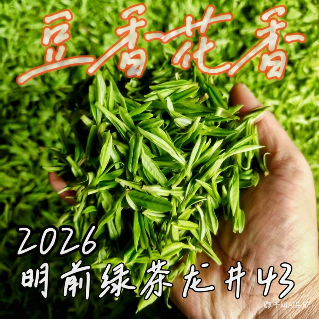 高山绿茶 2026年新茶 农家自产 杭州富阳明前龙井茶叶 春茶老茶树