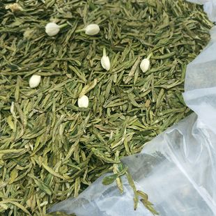 高山春茶 鲜花窨制 散装 浓香型 茉莉绿茶 2023年杭州明前龙井茶叶