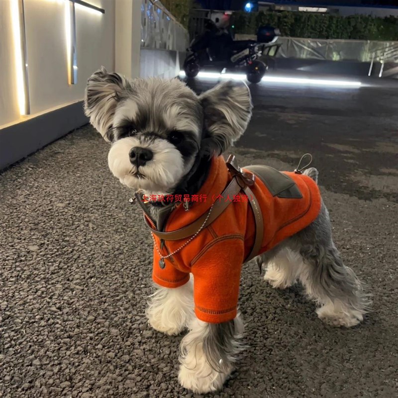 宠物比熊博美雪纳瑞小型犬小狗泰迪狗狗衣服秋装两脚Z衣连帽卫衣