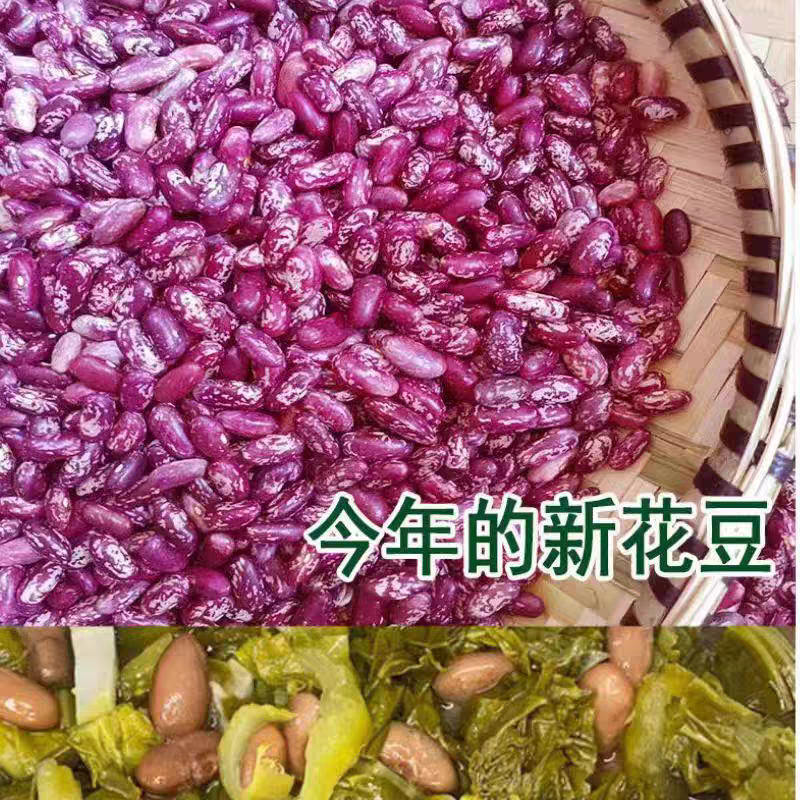 2025云南特产新花豆四季豆五谷花腰豆红豆酸菜豆米火锅芸豆干货