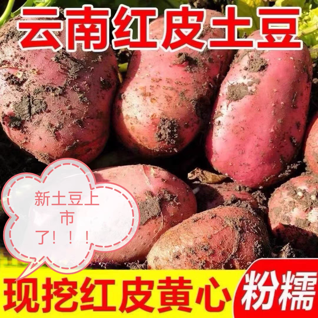 2026年云南新鲜红皮黄心大土豆农家老品种大洋芋七彩土豆花心土豆