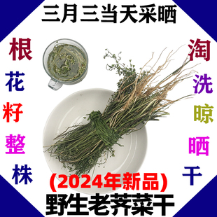 新纯野生整株老荠菜干荠菜带花根茎籽入药月子晒干无杂质250g 包邮