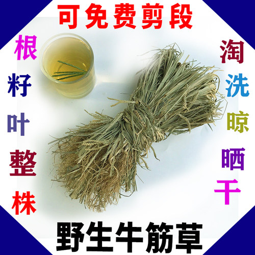 牛筋草 千人踏忝仔草老驴草千人拔整株带根籽干品中草药250克包邮